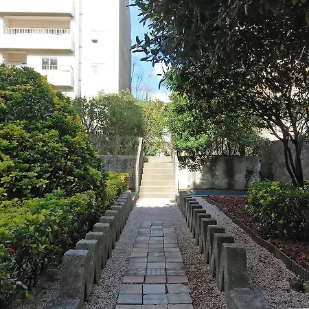 Hostal Surfivor Surf