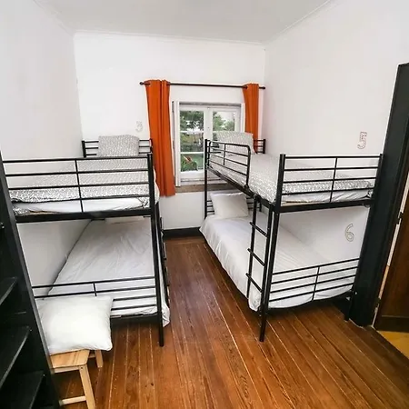 Surfivor Surf Hostal